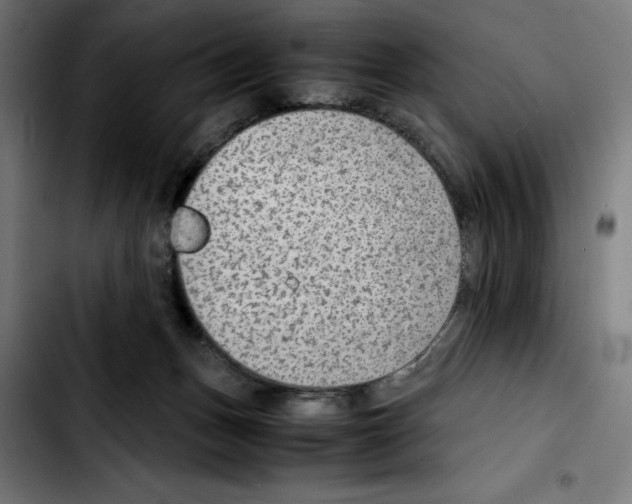 X0000103410175200810241217