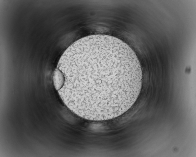 X0000103410177200810241217