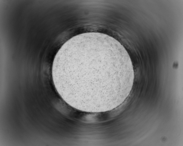 X0000103410178200810241217