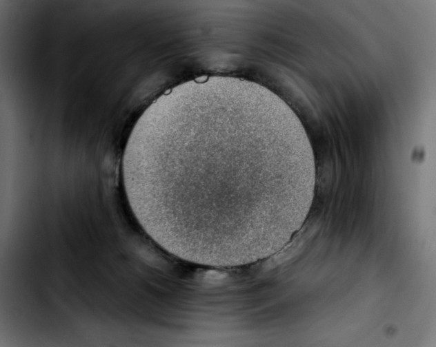 X0000103410180200810241217