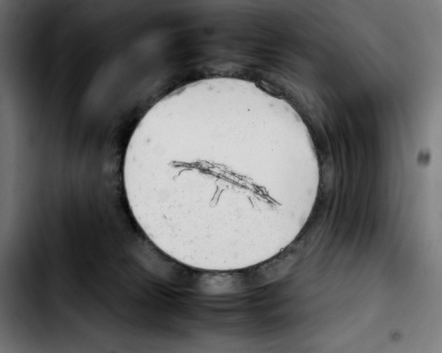 X0000103410181200810241217