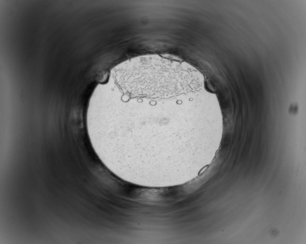 X0000103410182200810241217