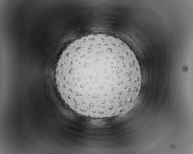 X0000103410183200810241217