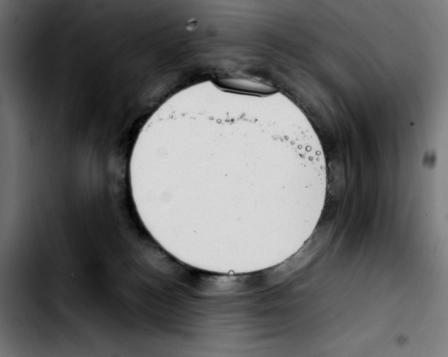 X0000103410184200810241217