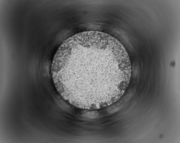 X0000103410185200810241217