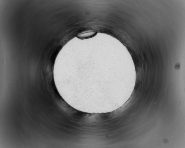 X0000103410186200810241217