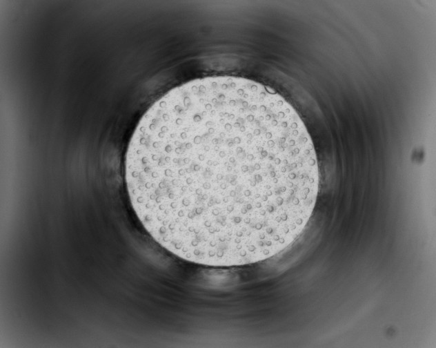 X0000103410187200810241217