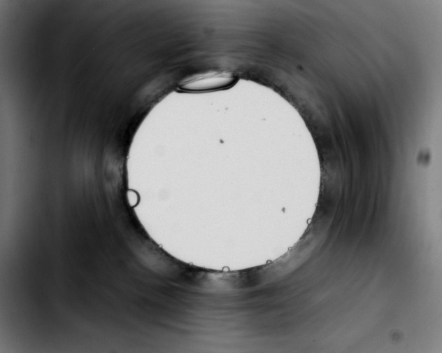 X0000103410188200810241217