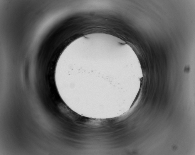 X0000103410190200810241217