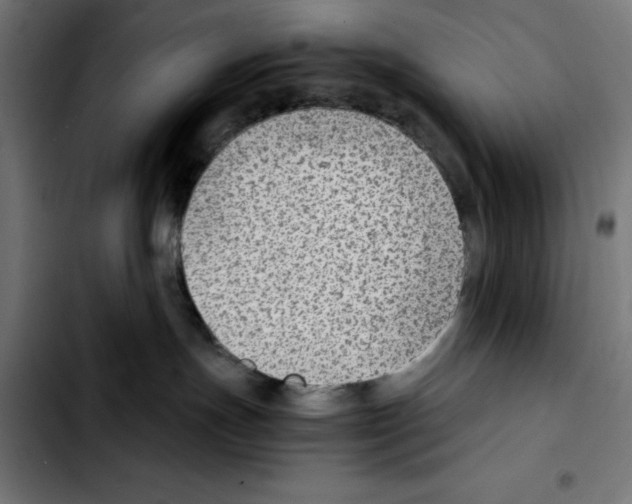 X0000103410191200810241217