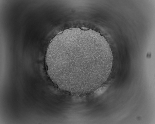 X0000103410192200810241217