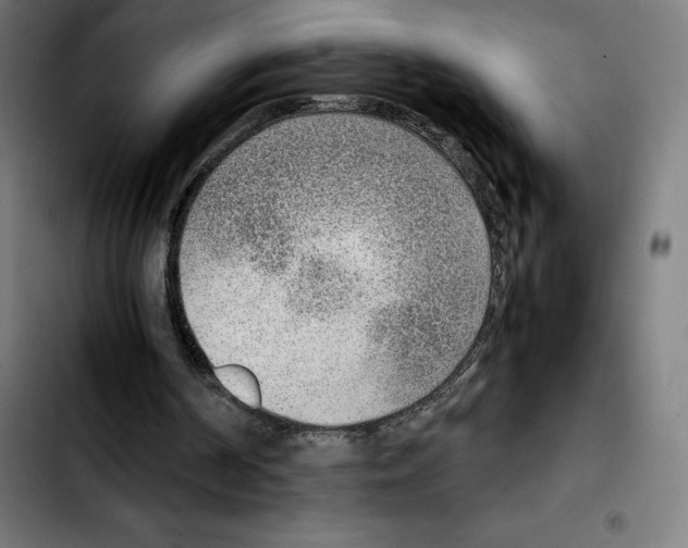 X0000103410194200810241216