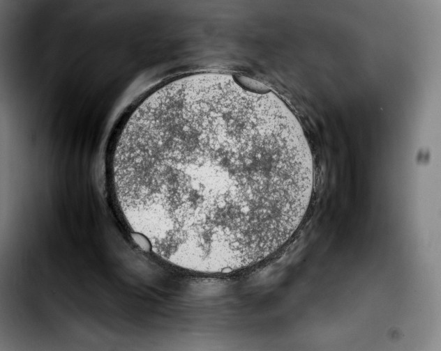 X0000103410198200810241216