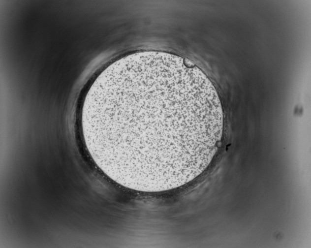 X0000103410199200810241216