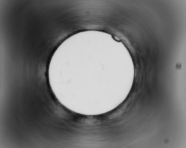 X0000103410201200810241216