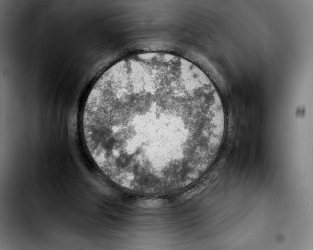 X0000103410202200810241216