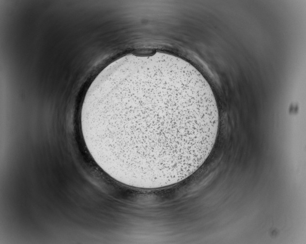 X0000103410203200810241216