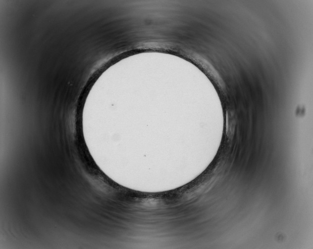 X0000103410204200810241216