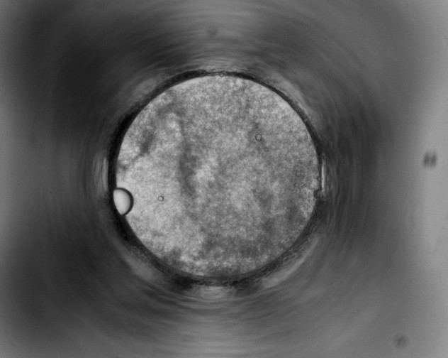 X0000103410205200810241216