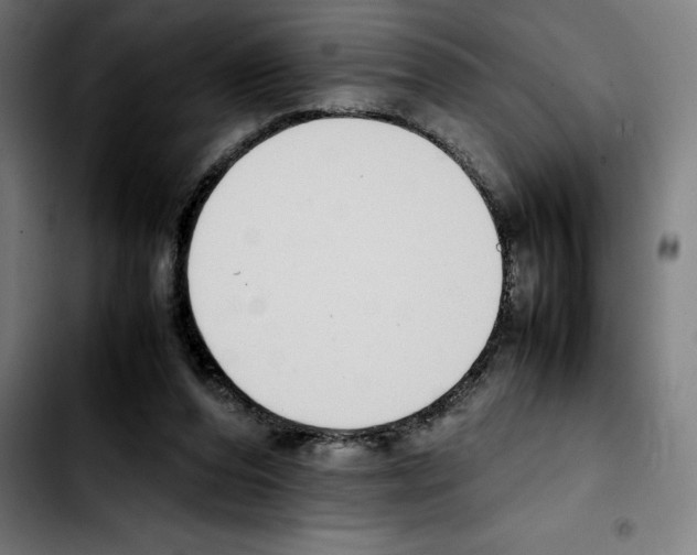 X0000103410208200810241216