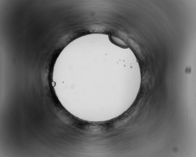 X0000103410209200810241216