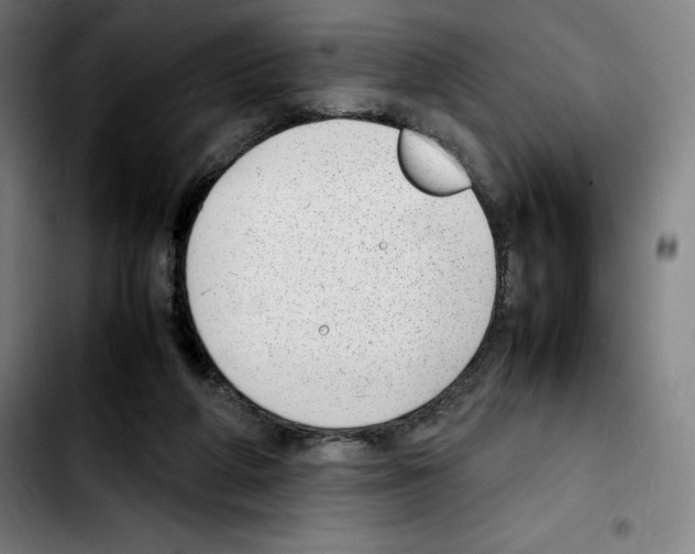 X0000103410210200810241216