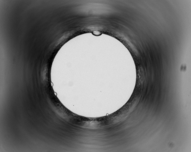 X0000103410212200810241216