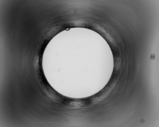 X0000103410213200810241216