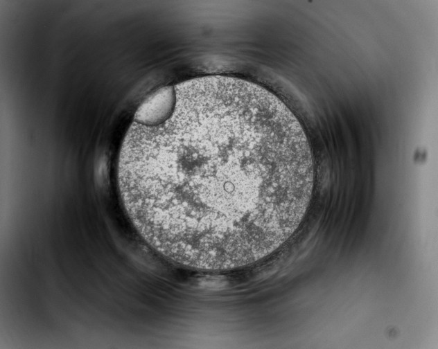 X0000103410214200810241216