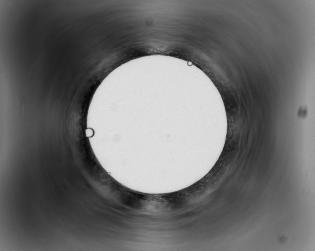 X0000103410215200810241216