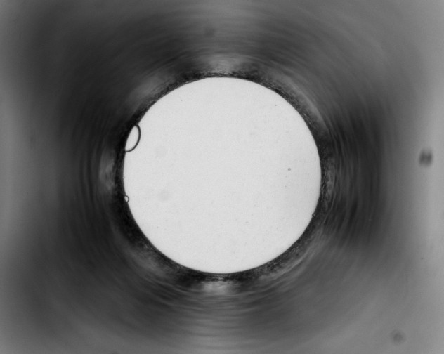 X0000103410216200810241216