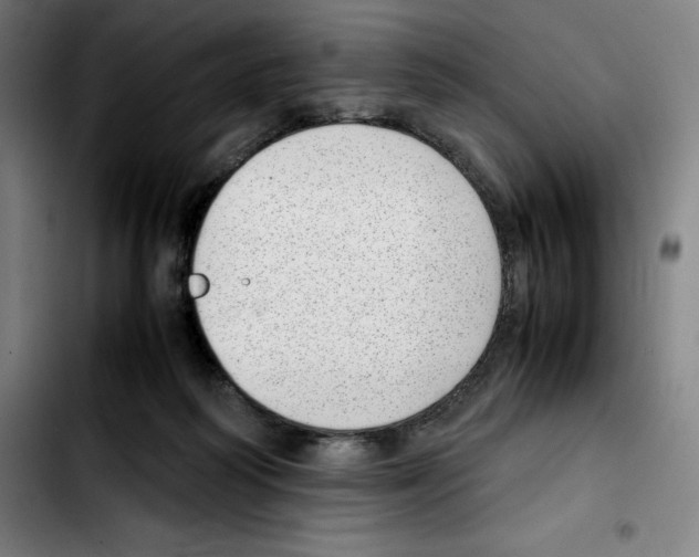 X0000103410218200810241216