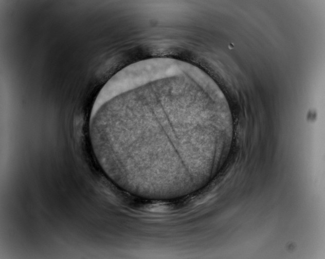 X0000103410219200810241216