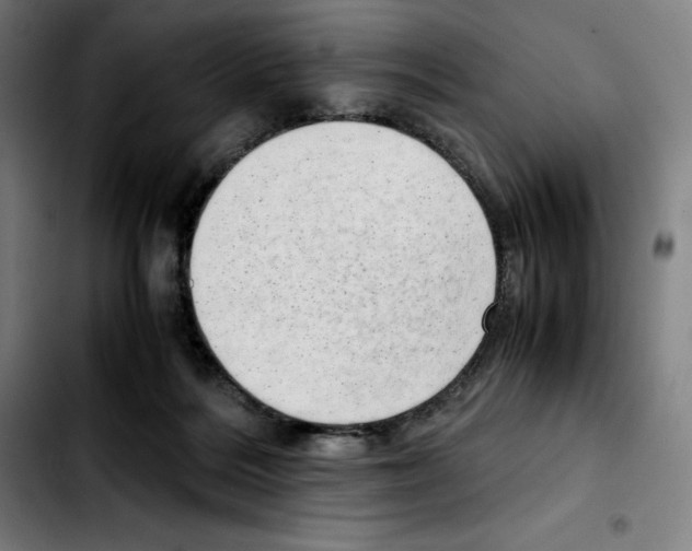 X0000103410220200810241216