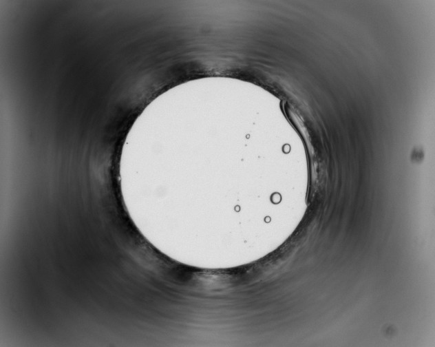 X0000103410221200810241216