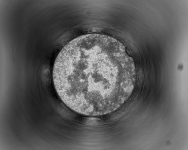 X0000103410222200810241216