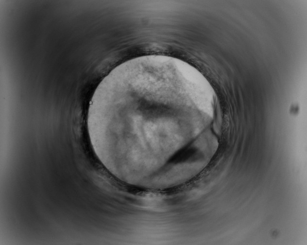 X0000103410223200810241216