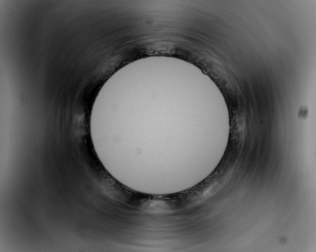 X0000103410224200810241216