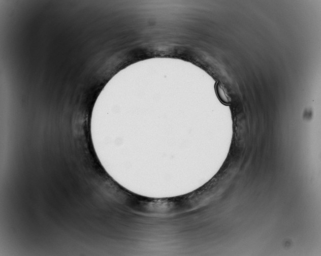 X0000103410225200810241216