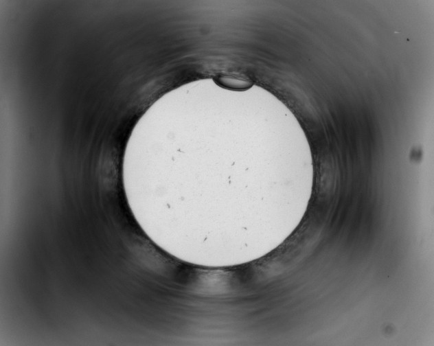 X0000103410226200810241216