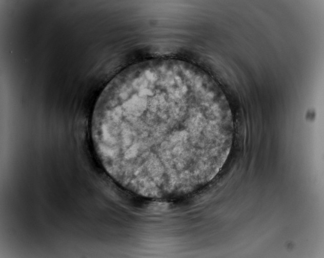 X0000103410227200810241216