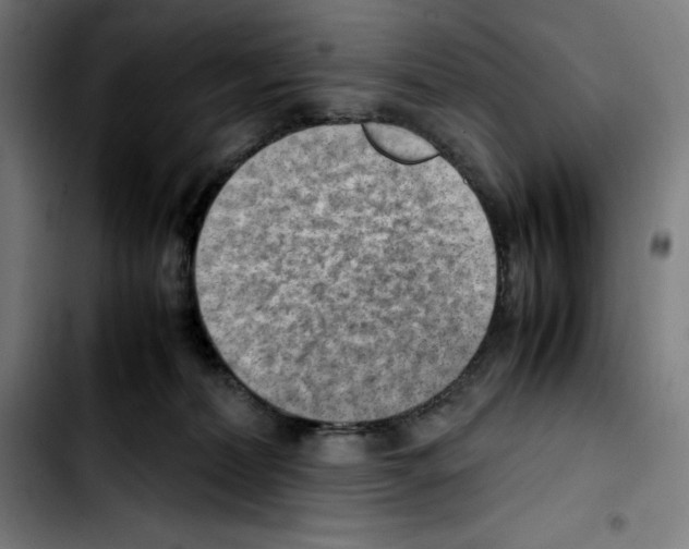 X0000103410228200810241216