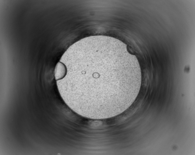 X0000103410230200810241216