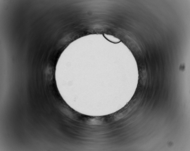 X0000103410232200810241216