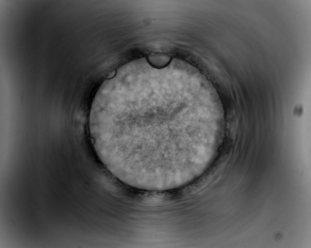 X0000103410235200810241216