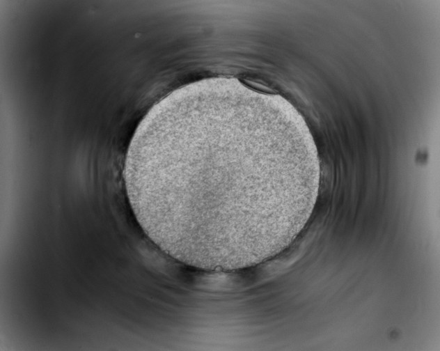 X0000103410237200810241216