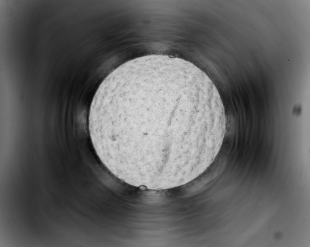 X0000103410238200810241216