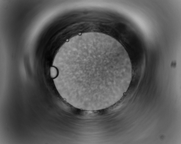 X0000103410239200810241216