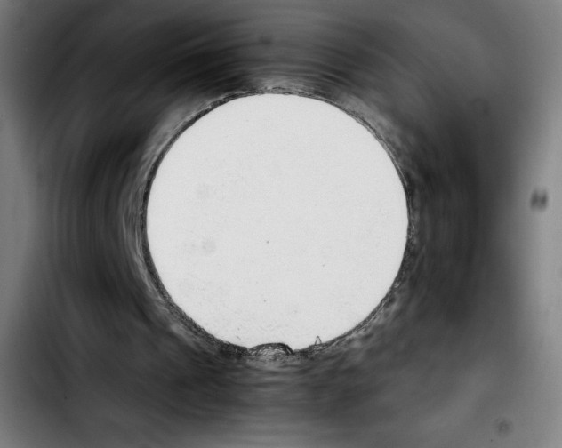 X0000103410241200810241215