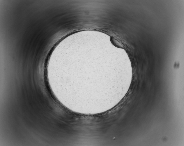 X0000103410242200810241215